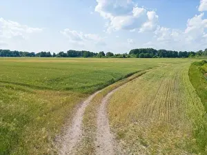 Arable Prints: Vertical stripes of agricultural parcels of different crops
