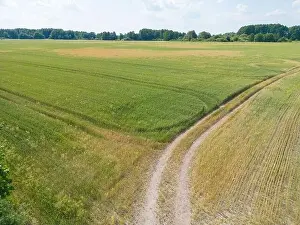 Arable Prints: Vertical stripes of agricultural parcels of different crops
