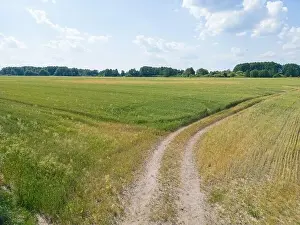 Arable Prints: Vertical stripes of agricultural parcels of different crops