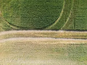 Arable Prints: Vertical stripes of agricultural parcels of different crops