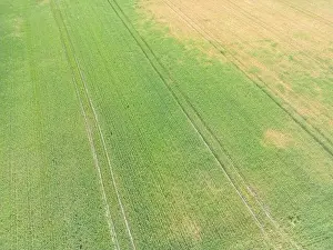 Arable Prints: Vertical stripes of agricultural parcels of different crops