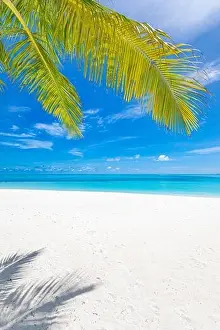 Vertical wide paradise beach panorama background with coco palms. Sunny summer scenery, beach landscape, paradise island concept