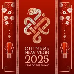 Knot Prints: A vibrant and festive decorative design for the upcoming Chinese New Year 2025