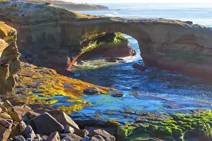 Golden Light Prints: Vibrant natural arch formation frames lively tide pools along the rugged coastline of San Diego