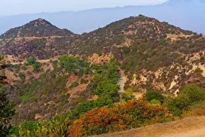 Unspoiled Prints: Vibrant view of Griffith Park's rolling hills with colorful flora and winding trails under a clear blue sky