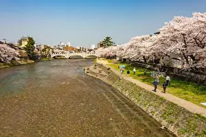 Sakura Prints: View of the Asanogawa river and bridge