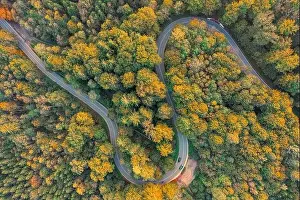 Top down view at a autumnal forest with a double curve and driving automobiles
