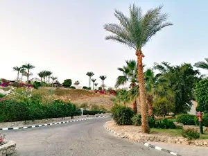 Wonderful Prints: View of a beautiful empty city street. Egypt. Tourist District