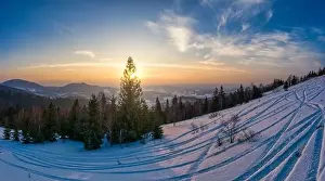 Wintersport Prints: Top view of a beautiful mesmerizing view of the ski slope with ski trails located in the mountains on a sunny winter