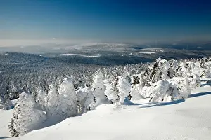 Brocken Prints: view from Brocken mountain summit looking northwards in winter