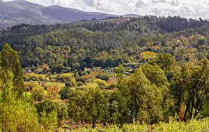Coimbra Prints: View of the countryside, Penela, Portugal