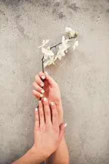 Vogue Prints: Top view of crop unrecognizable female with blooming flower demonstrating stylish neat manicure on concrete background