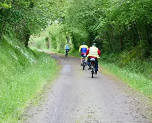 Bucolic Prints: A view of the cyclists on the cycle track at Saint Cyr du Bailleul