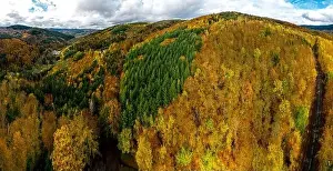 A view from a drone of a rusty forest. Autumn colors and amazing vistas of the Vosges mountains. Alsace, France