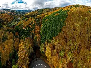 A view from a drone of a rusty forest. Autumn colors and amazing vistas of the Vosges mountains. Alsace, France