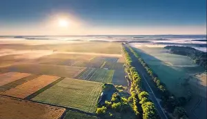 Unbelievable Prints: View from flying drone. Incredible morning scene of Ukrainian countryside with field of wheat and road