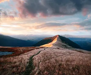 Alpine Road Prints: View of the grassy hills in Carpathian mountains glowing by evening sunlight