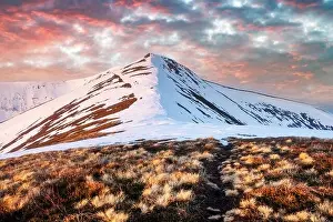 View of the grassy hills with orange tussocks and snowy mountains on background. Dramatic spring scene. Landscape photography