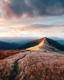 Alpine Road Prints: View of the grassy hills with path in Carpathian mountains glowing by evening sunlight