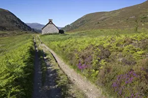 Temperate Prints: View of heather moorland with trail and hut
