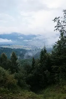Tree House Prints: View from hill with forest meadow on town and mist in valley