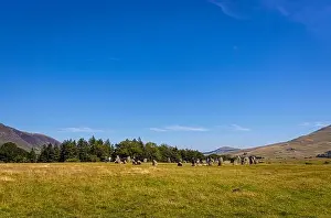 Castlerigg Stone Circle Prints: View of hills around Keswick in Lake District
