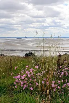 Normandie Prints: View of Le Mont St Michel from across the bay at Bec d'Andaine at Genêts Normandy France