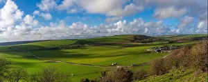 Arable Prints: The view across Long Furlong towards Harrow Hill and the South Downs, West Sussex, UK