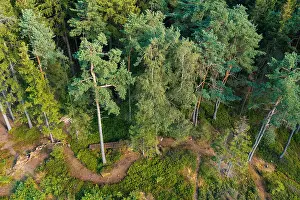 Highland Prints: view from lookout U Jakuba to forest