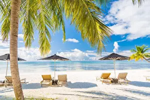 Deckchair Prints: View of luxury beach scene with white fashion deckchairs on the beach