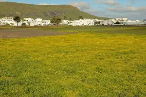Green Hill House Prints: View of Maguez at Lanzarote on Canary island in Spain