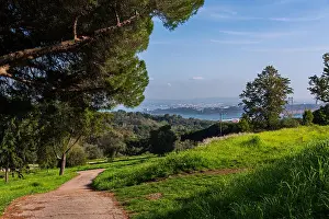 Biking Prints: View of Monsanto Park in Lisbon, Monsanto park is the major green area in Lisbon