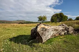 Derbyshire Prints: A view across moorland to Burbage Edge from the Longshaw Estate in the Peak District