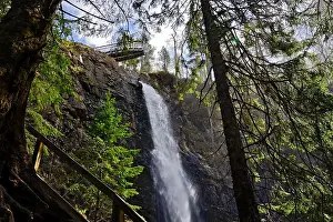 Surrounded Prints: Bottom view of Plodda Falls and the viewing platform surrounded by a lush forest