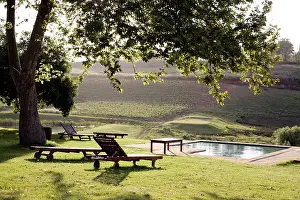 Tasting Prints: View across the pool at the Alluvia wine estate, Stellenbosch, South Africa
