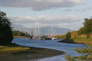 Masts Prints: View to Puerto Williams Yacht Club, Chile