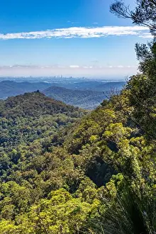 Gold Coast Prints: View of Rainforest in Springbrook National Park with the Skyline of Gold Coast in the Distance