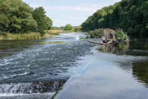 Angling Prints: View of the river Derwent at Mill Field Workington looking up stream towards Cockermouth