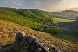 Perch Prints: View of rolling hills blanketed in lush green forests meet a meadow under a soft sky