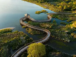 Wooden Bridge Prints: Top view of sea with wooden walkway - Aerial top view of wooden bridge pathway over marshy river with vegetation