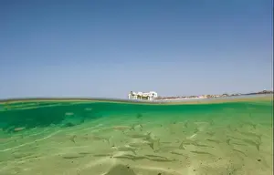 Heart Shape Prints: View of serene beach and underwater life