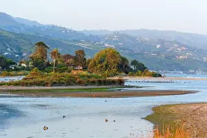 Malibu Prints: View of small island in Malibu Lagoon adorned with palm trees and ducks