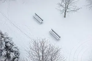 White Christmas Prints: View of a snow covered park in winter season.High quality photo. High quality photo