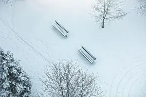 White Christmas Prints: View of a snow covered park in winter season.High quality photo. High quality photo