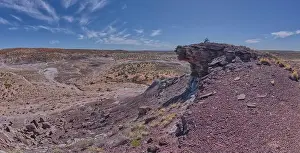 Hiking Trails Prints: View from the summit of Crystal Mesa west of Hamilili Point in Petrified Forest National Park