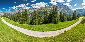 Glarus Prints: View of Swiss mountains - Piz Segnas