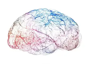 Neural Prints: View of the synapses. Brain connections