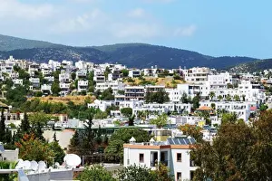 Pine Tree Prints: The view on traditional white buildings, Bodrum, Turkey