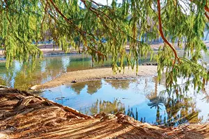 Riverside California Prints: View of a tranquil pond from under leafy branches