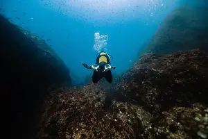 Scuba Diver Prints: Back view of unrecognizable scuba diver